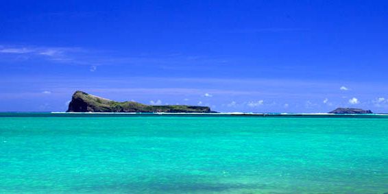 Coin de mire private snorkeling trip  (6)